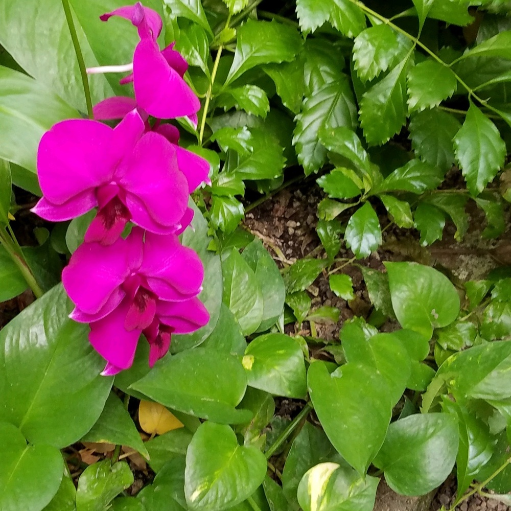 Meet your Posher, Mel